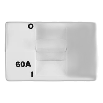 Diamond Double-Pole 60A Isolator on 4×4 Yoke with Coverplate