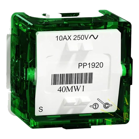 1W Switch Mech 10AX250V