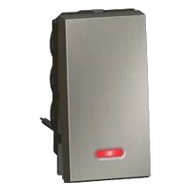 Arteor 20A 2W + Ind Switch MG