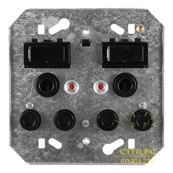 Classic Double Monoblock Switched Dedicated Socket 164-4 on 4×4 Yoke