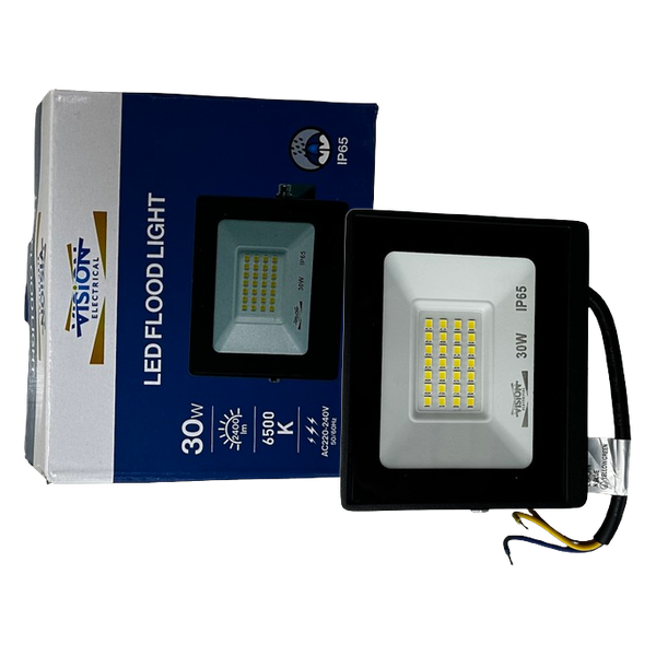 Vision 30W LED Floodlight 6500K IP65