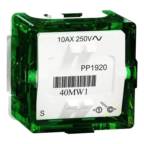 1W Switch Mech 10AX250V