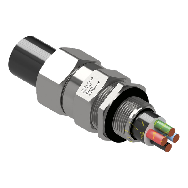 CW Gland-NO-2