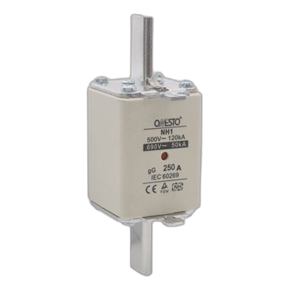 Onesto G-Nh1-250 250Amp Fuse