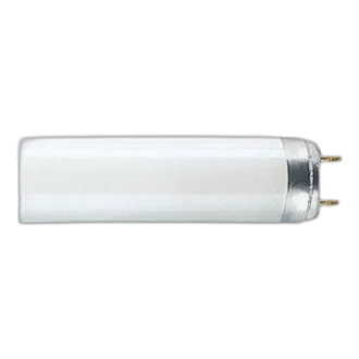 3ft T8 Cool White