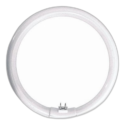 22W T5 Cool White Circline