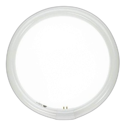 40W T9 Cool White Circline