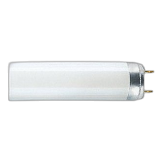 3Ft T8 Cool White
