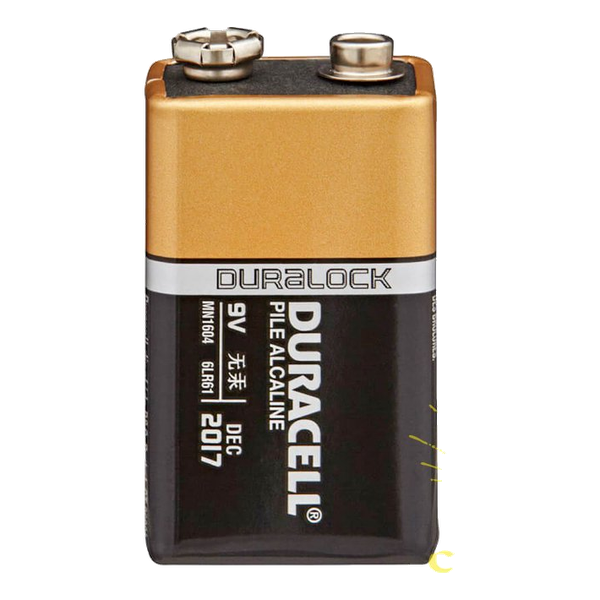 MN1604 Duracell 9V Batt B1