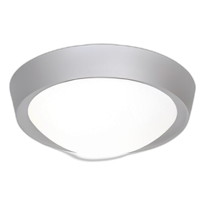 Bright Star Cf099 Silver 15W 270Mm Bathroom Light