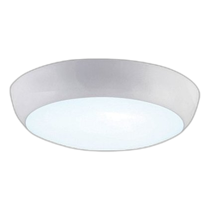 Bright Star Cf132 Emergency Led Ceiling Light