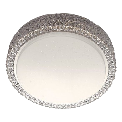 Bright Star Cf222 Led Metal Ceiling Light