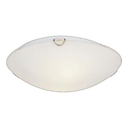 Bright Star Cf3508 250Mm Frosted Glass Ceiling Light