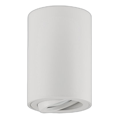 Bright Star Dl050 White 80Mm Downlight