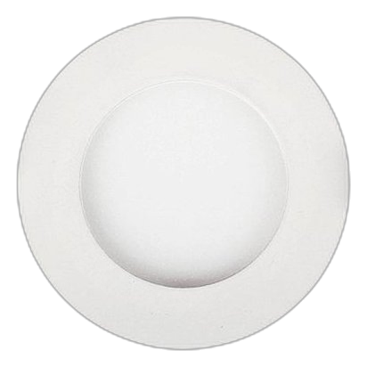 Eurolux D110 White 90Mm Fixed Panel Downlight