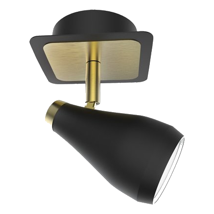 Bright Star S173/1 Matt Black & Brass Spotlight