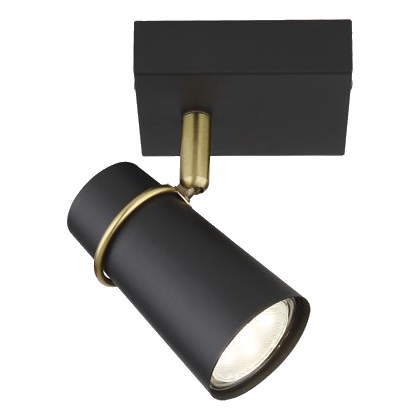 Bright Star S411/1 Black & Brass Spotlight