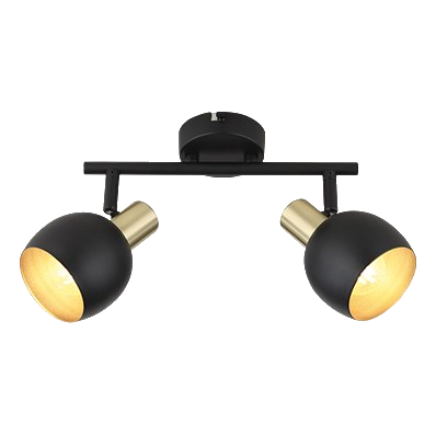 Bright Star S417/2 Black & Gold Spotlight