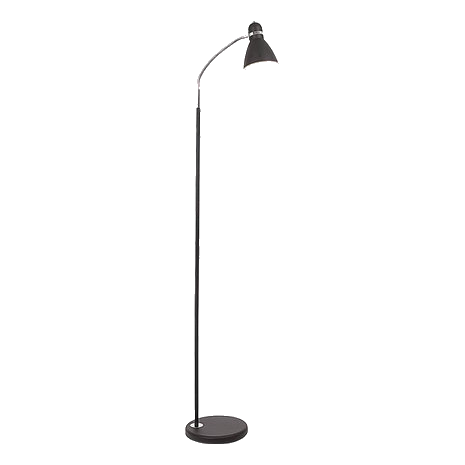 Bright Star Sl1098 Black Floor Lamp