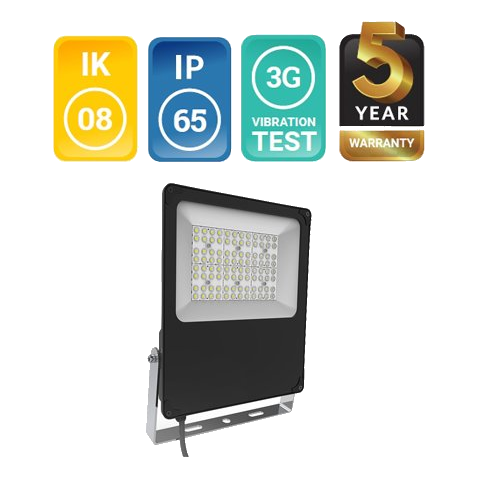 Pioled Thor 100W Daylight Led Floodlight
