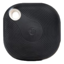 Shelly Blu Button Tough 1 – Black