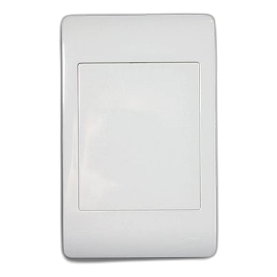 Synerji 2X4 Blank Cover Plate, White