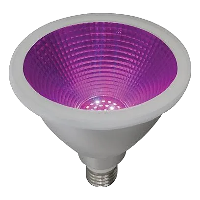 Bright Star 15W ES Grow Light