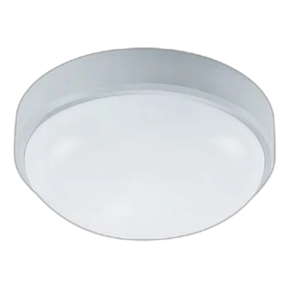 Bright Star CF127 20W 220mm Ceiling Light