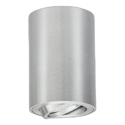 Bright Star Dl050 Aluminium 80Mm Downlight