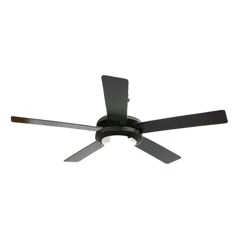 Bright Star FCF004 Black Ceiling Fan