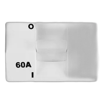 Diamond Double-Pole 60A Isolator on 4×4 Yoke with Coverplate