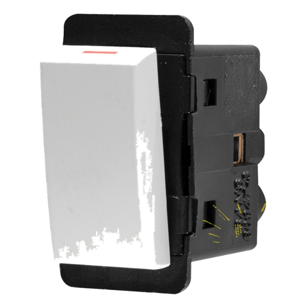 Diamond Switch Double-Pole Module