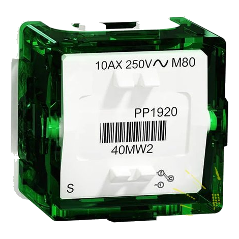 Mech Switch 2W 10AX 250V