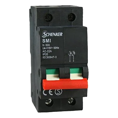 Schenker 2 Pole 100Amp Isolator