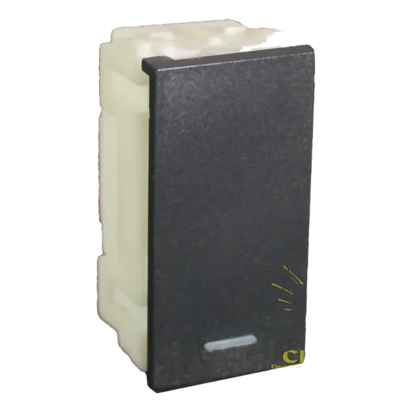 Two-Way Switch Module